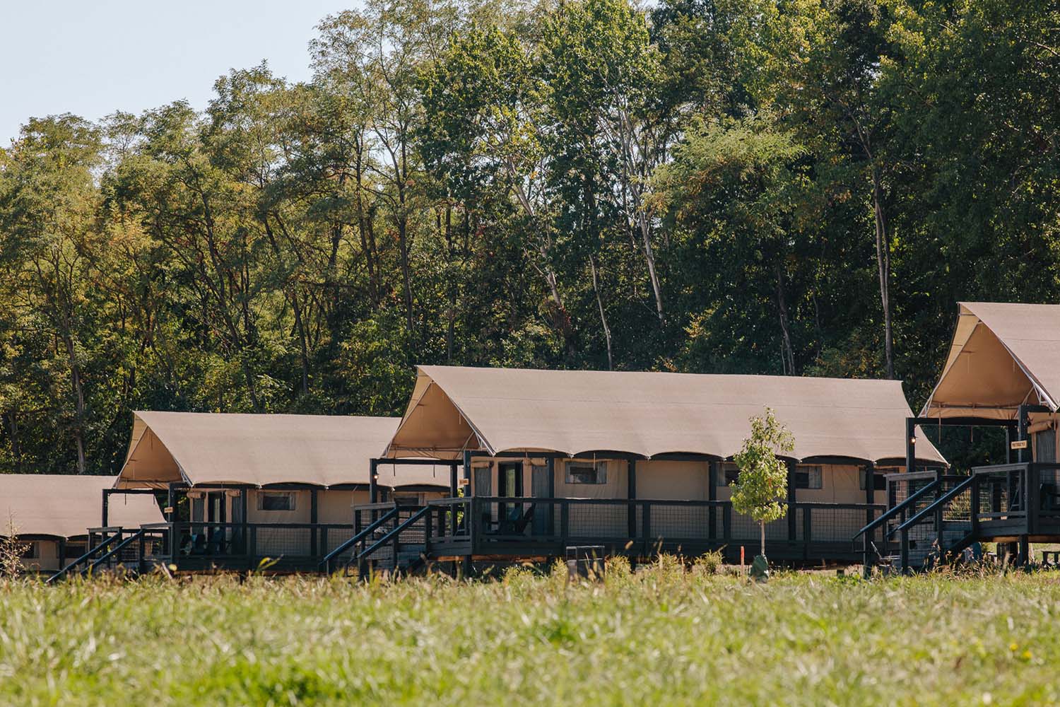 Safari-style tents at Camp Aramoni