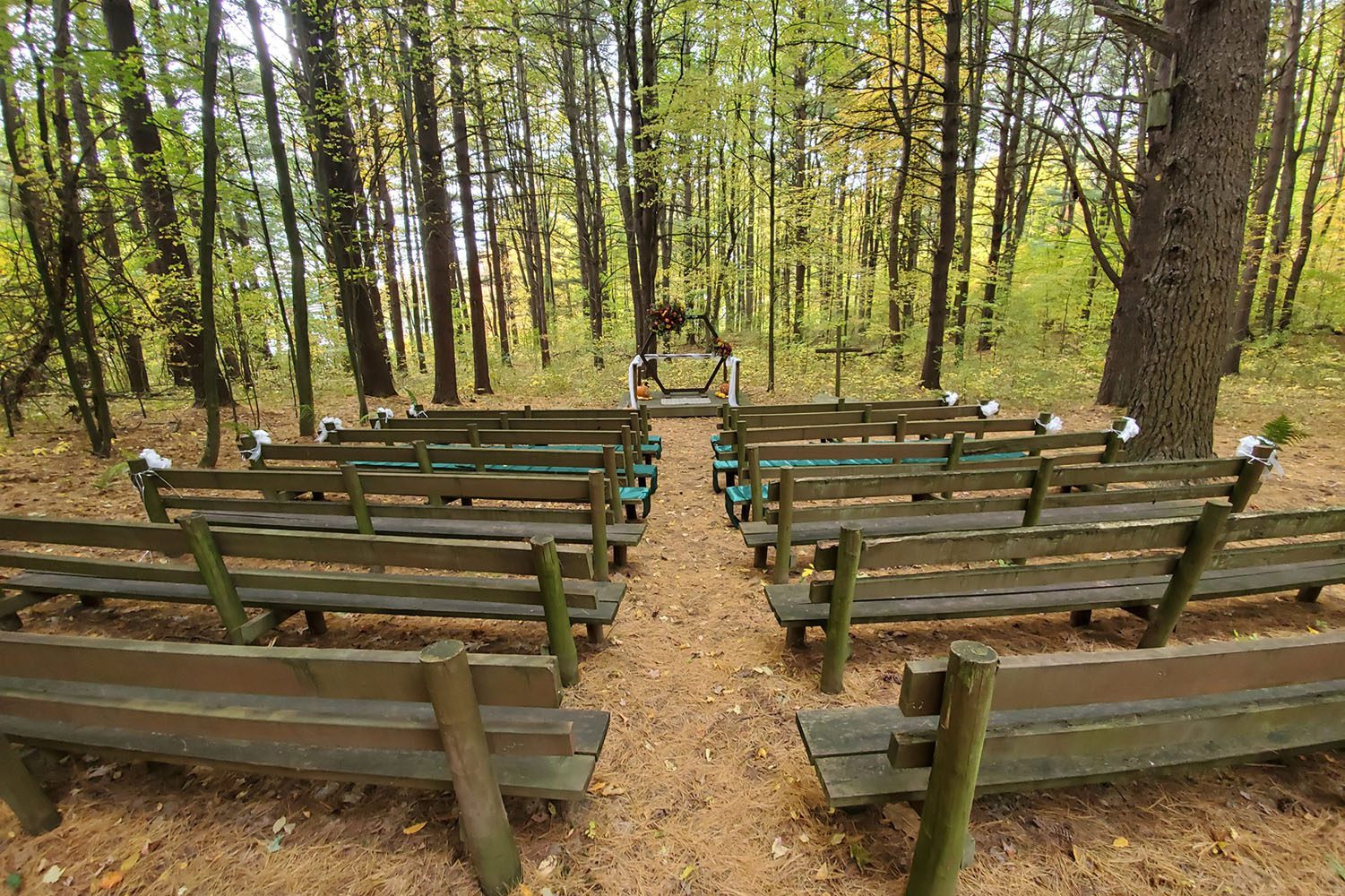 Ceremony site in the woods
