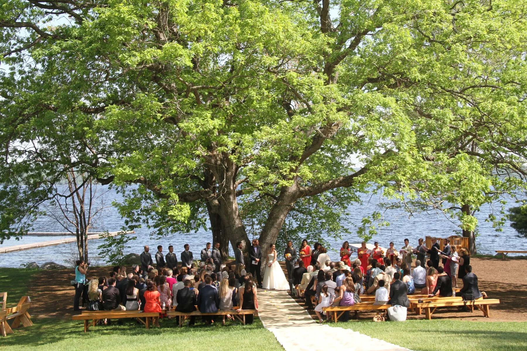 Outdoor ceremony under giant oak